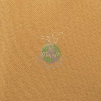 Satin 9